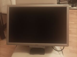 Monitor Acer AL1916W - Gris Plata
