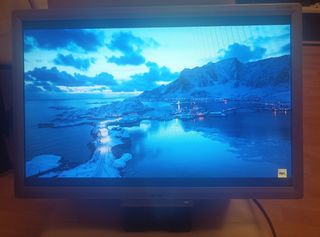 Monitor Acer AL1916W - Gris Plata