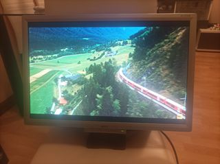 Monitor Acer AL1916W - Gris Plata