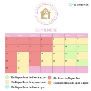 Limpieza y plancha
