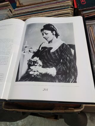 Grandi voci e grandi teatri