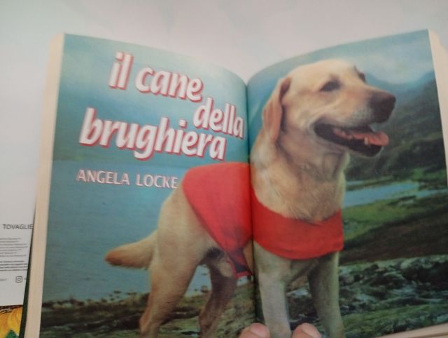 Selezione della narrativa mondiale. 40°.