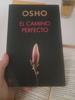 El camino perfecto (Spanish Edition)