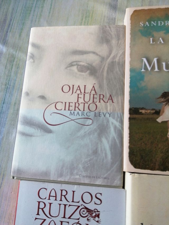   varios títulos como muestra la foto