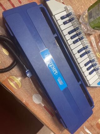 Diamonica BONTEMPI Music