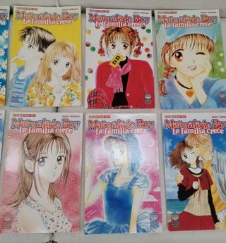 LOTE 10 CÓMICS MANGA "MARMALADE BOY"