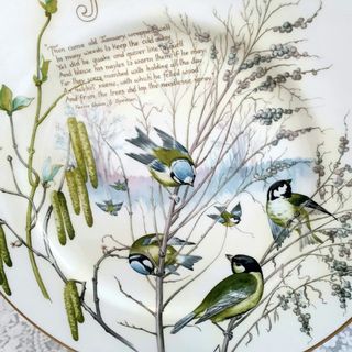 Piatto January, Edith Holden, Caverswall