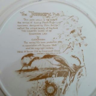 Piatto January, Edith Holden, Caverswall