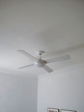 Resanado y pintura y reparaciones