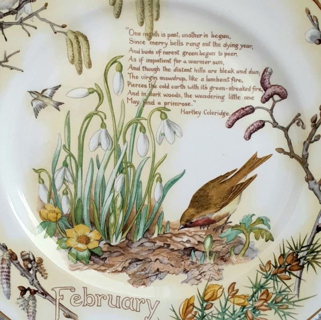 Piatto February, Edith Holden, Caverswall