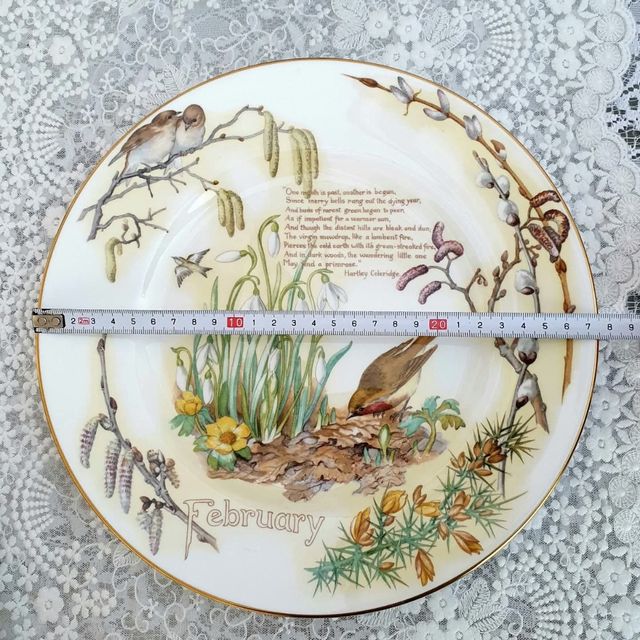 Piatto February, Edith Holden, Caverswall