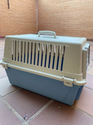 Transportín pequeño perros - beige/azul