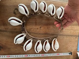 Collar Cauri Papua Nueva Guinea