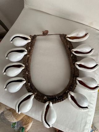 Collar Cauri Papua Nueva Guinea