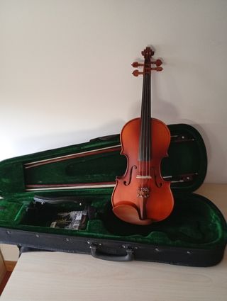 Violín 4/4 con estuche