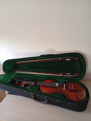 Violín 4/4 con estuche