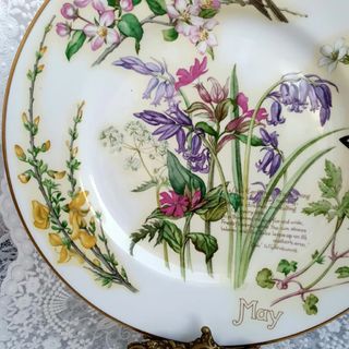 Piatto May- Edith Holden - Caverswall