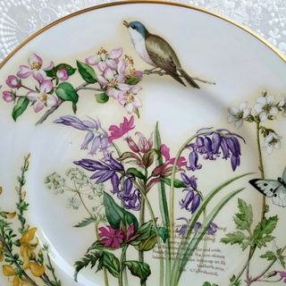 Piatto May- Edith Holden - Caverswall