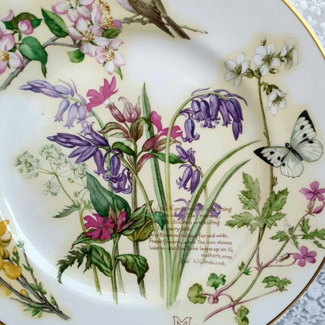 Piatto May- Edith Holden - Caverswall