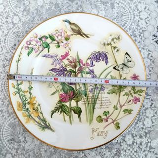 Piatto May- Edith Holden - Caverswall