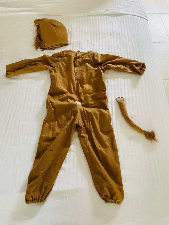 Disfraz León para niño