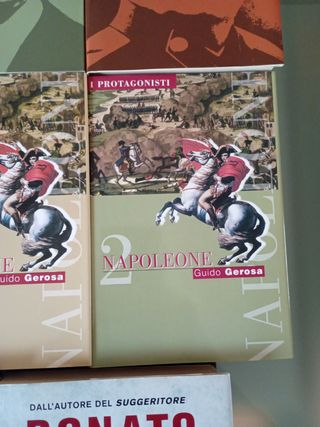 Il gioco del suggeritore (Italian Edition)