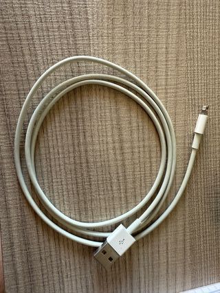 Cavo Lightning Apple USB originale