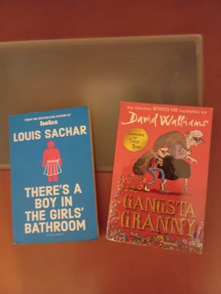There's A Boy In The Girls Bathroom/Gangsta Granny