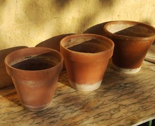 Tres macetas