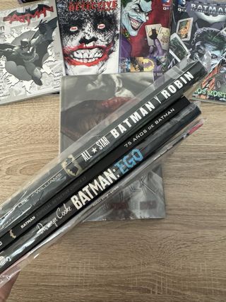 batman 14 Comics en su funda protectora
