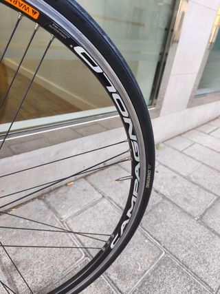 Bicicleta carretera Focus Cayo carbono talla 52