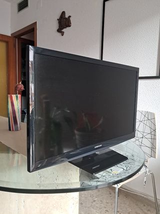 TV Samsung 21" (8 meses de vida)
