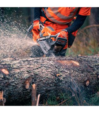 Trabajos forestales y jardinería.