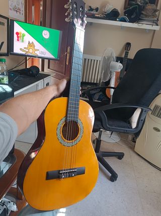 Guitarra Flamenca 