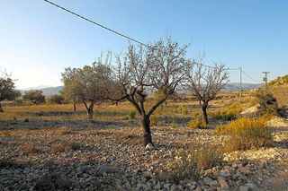 Terreno en venta en Monóvar/Monòver