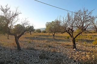 Terreno en venta en Monóvar/Monòver