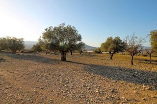 Terreno en venta en Monóvar/Monòver