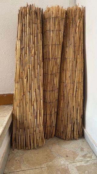Cañizo bambú - 3 unidades