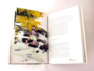 EL GRAN LIBRO DE LAS HADAS