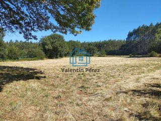 Terreno en venta en Begonte