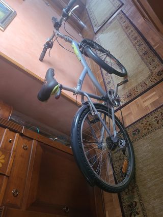 Bicicleta montaña Gris