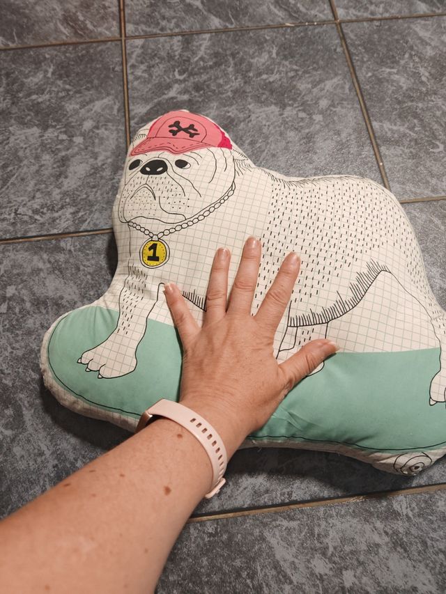 Cojín Bulldog Skate - Infantil