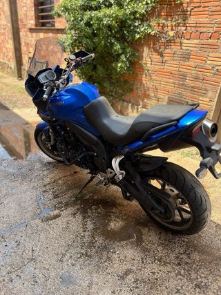 Triumph Tiger 1050 (2007) piezas