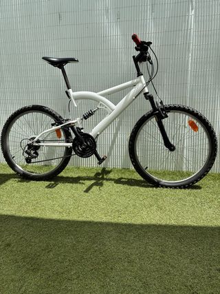 Bicicleta 24”
