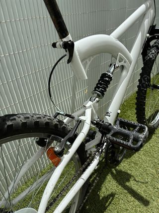 Bicicleta 24”