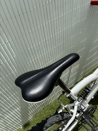 Bicicleta 24”