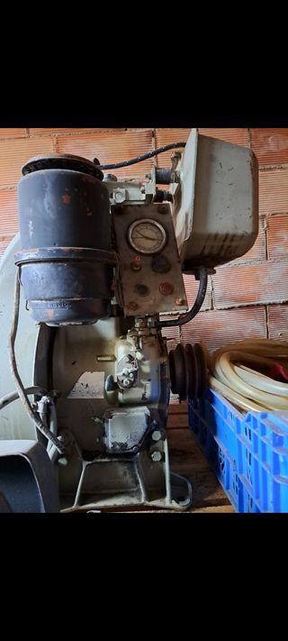 Motor Lombardini 18cv usado
