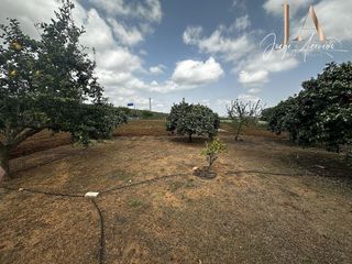 Terreno en venta en Zona Universitaria  en Bormujos