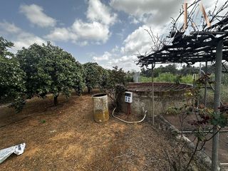 Terreno en venta en Zona Universitaria  en Bormujos