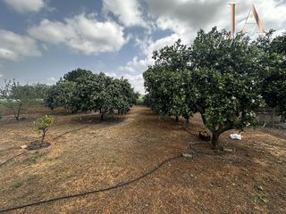 Terreno en venta en Zona Universitaria  en Bormujos